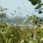 Ferienbauernhof Liesenberg Foersterhaus Gaensebluemchen