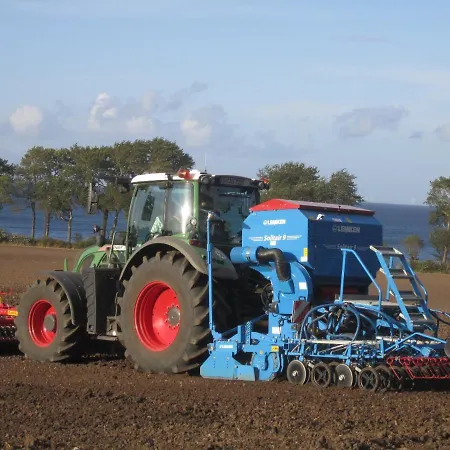 Ferienbauernhof Liesenberg Foersterhaus Gaensebluemchen Dom wakacyjny