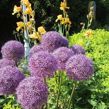 Dom wakacyjny Ferienbauernhof Liesenberg Foersterhaus Gaensebluemchen *