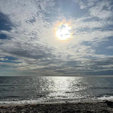 Ferienbauernhof Liesenberg Foersterhaus Gaensebluemchen