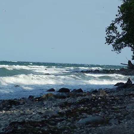 Ferienbauernhof Liesenberg Foersterhaus Gaensebluemchen Дом отдыха Фемарн