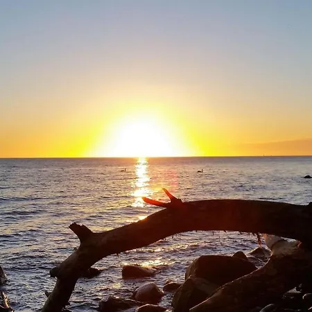 Ferienbauernhof Liesenberg Foersterhaus Gaensebluemchen Фемарн
