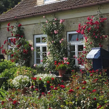 Nyaraló Ferienbauernhof Liesenberg Foersterhaus Gaensebluemchen Fehmarn