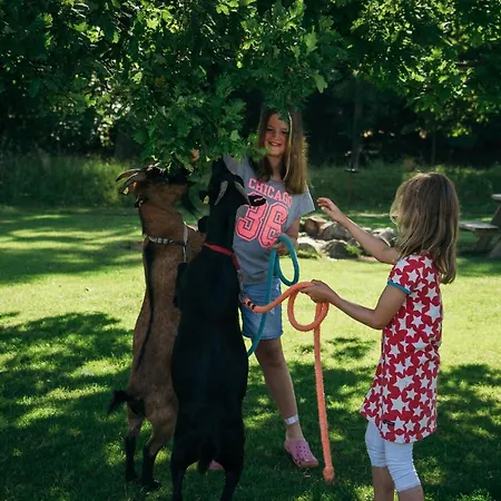 Ferienbauernhof Liesenberg Foersterhaus Gaensebluemchen Fehmarn