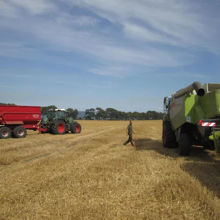 Ferienbauernhof Liesenberg Foersterhaus Gaensebluemchen Dom wakacyjny