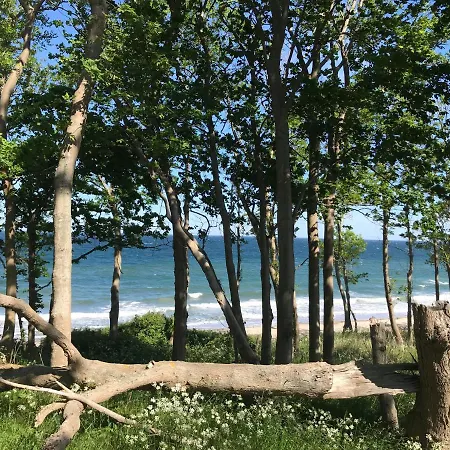 Ferienbauernhof Liesenberg Foersterhaus Gaensebluemchen * Fehmarn