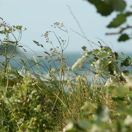 Ferienbauernhof Liesenberg Foersterhaus Gaensebluemchen