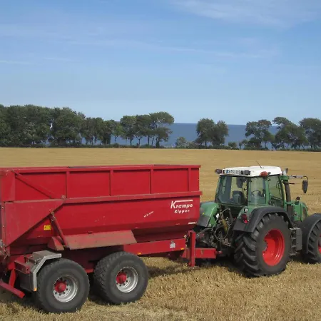Ferienbauernhof Liesenberg Foersterhaus Gaensebluemchen Dom wakacyjny Fehmarn