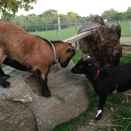 Ferienbauernhof Liesenberg Foersterhaus Gaensebluemchen Дом отдыха *