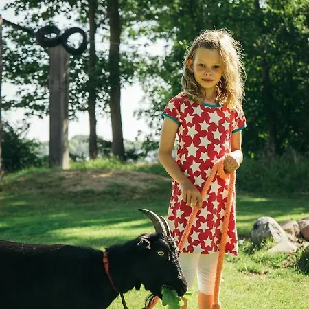 Ferienbauernhof Liesenberg Foersterhaus Gaensebluemchen Фемарн