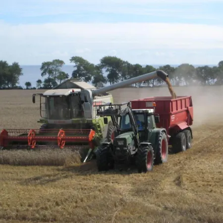 Ferienbauernhof Liesenberg Foersterhaus Gaensebluemchen Nyaraló *