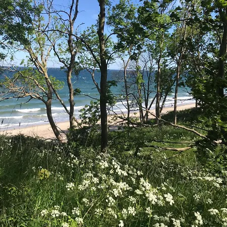 Ferienbauernhof Liesenberg Foersterhaus Gaensebluemchen *