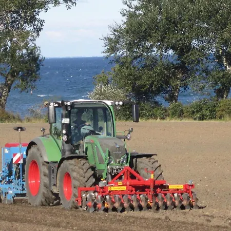 Ferienbauernhof Liesenberg Foersterhaus Gaensebluemchen Nyaraló