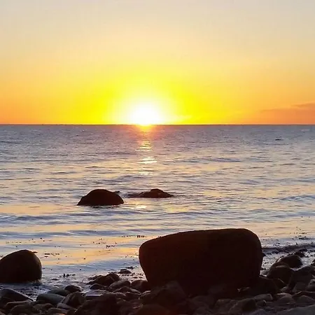 Ferienbauernhof Liesenberg Foersterhaus Gaensebluemchen Фемарн