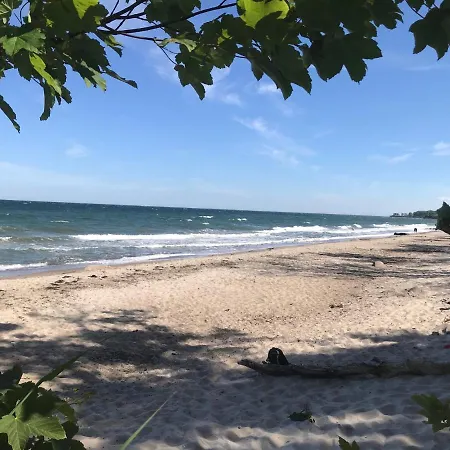 Ferienbauernhof Liesenberg Foersterhaus Gaensebluemchen