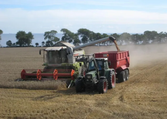 Ferienbauernhof Liesenberg Foersterhaus Gaensebluemchen Casa vacanze *